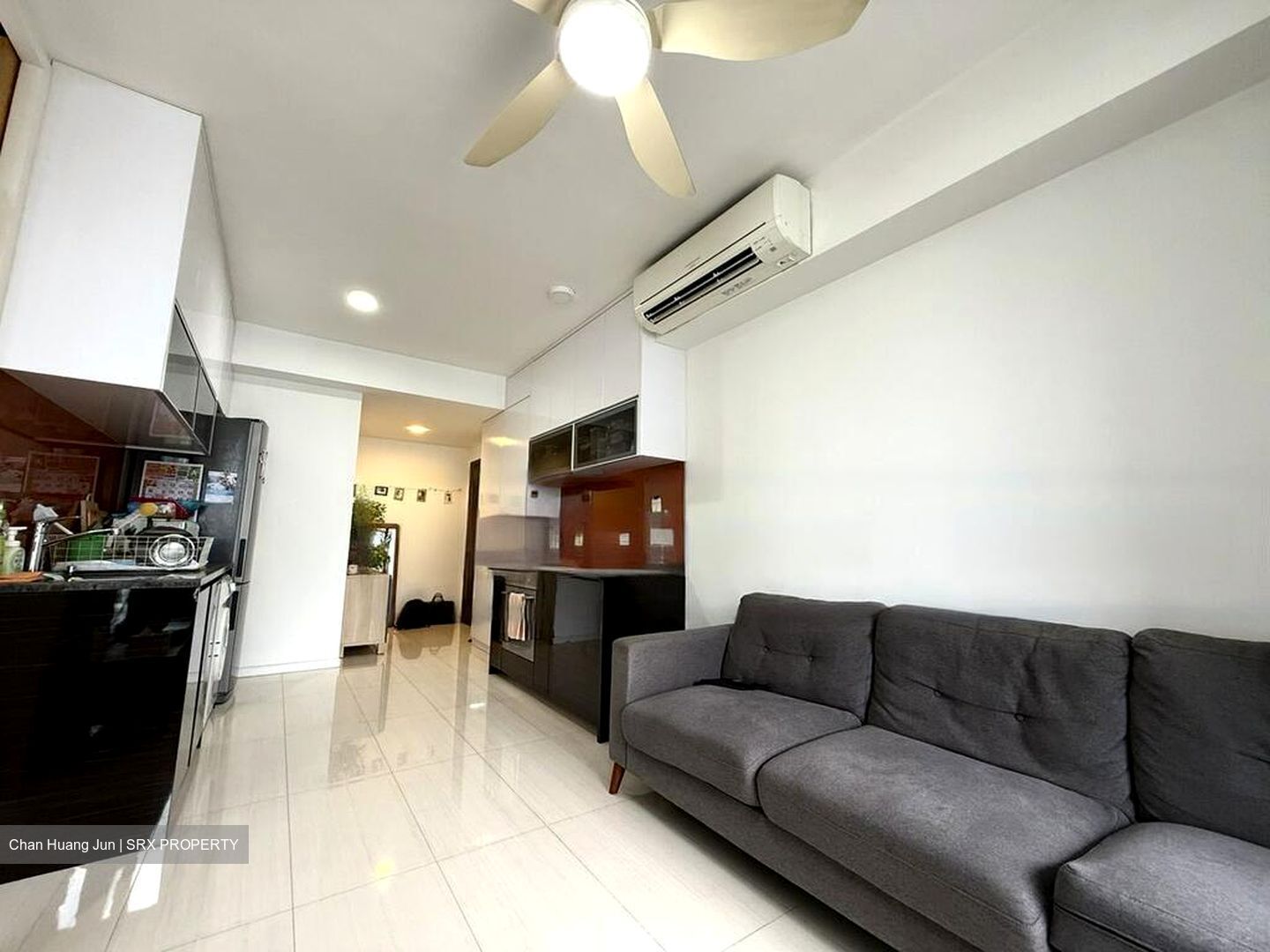 Sant Ritz (D13), Condominium #460743661